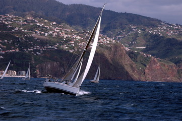  sailing in a championship
