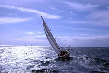  sailing in a championship