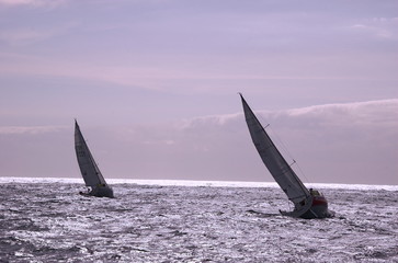sailing in a championship