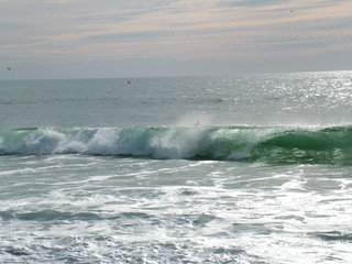 surfeur dans la vague