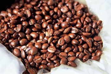 coffee beans