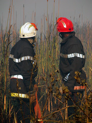 Fototapeta premium feu de savane