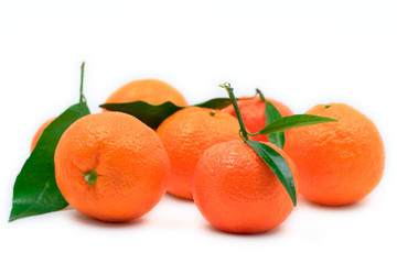 tangerine
