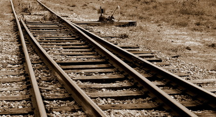 tracks