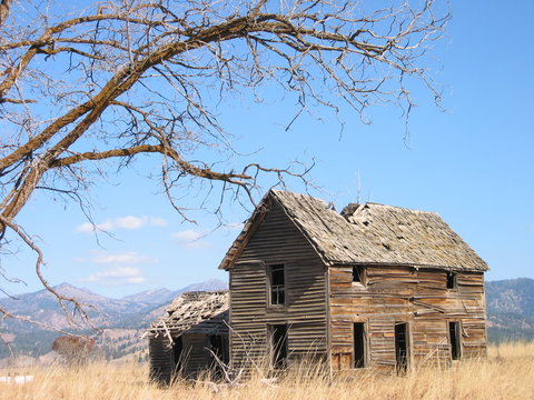 The Old Homestead