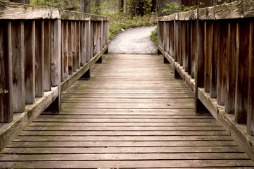 Obraz premium foot bridge 2