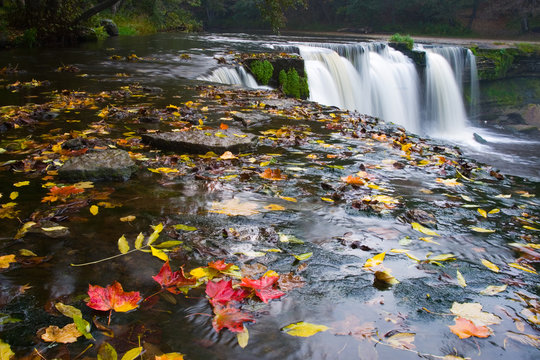 waterfall with red leafs