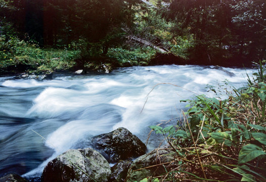 wildbach