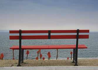chair in front of the ocean