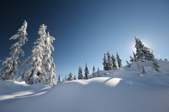 fresh snow