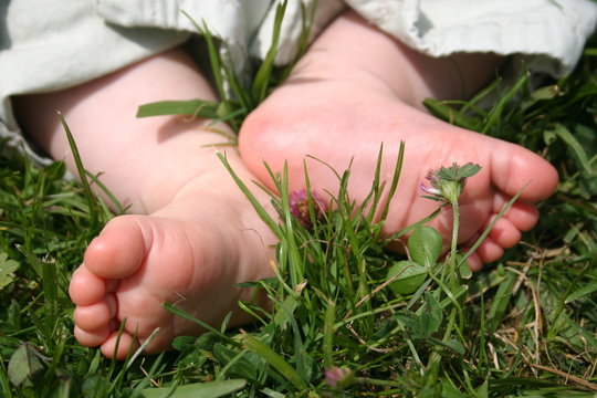 petits petons a la campagne