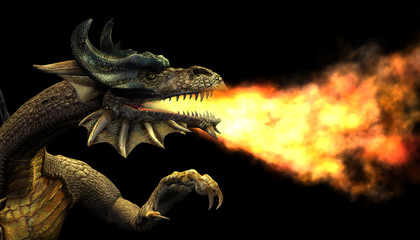 fire breathing dragon portrait © AlienCat