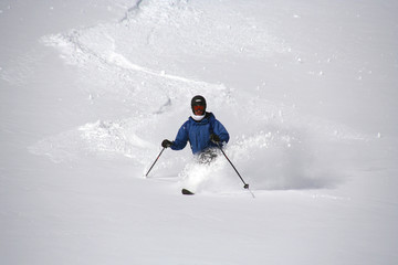 telemark skier in fresh powder - obrazy, fototapety, plakaty