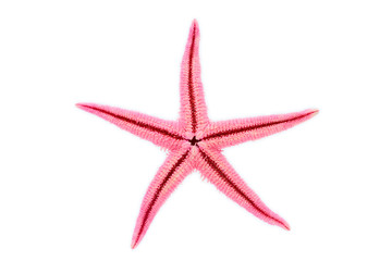 pink starfish