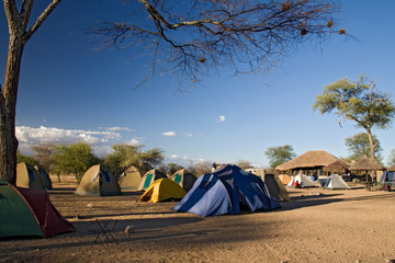 africa landscape 024 serengeti camp - obrazy, fototapety, plakaty