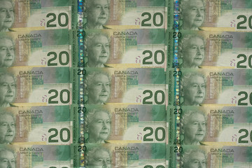money 029 bill lot of cad