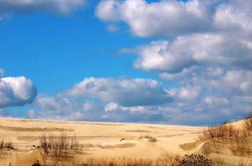 jockey's ridge state park, n.c.