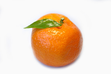 tangerine