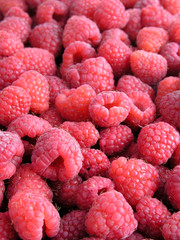 raspberries