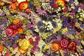 Fototapeta na wymiar suszone kwiaty 2