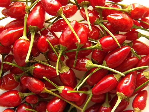 chilischoten