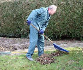 raking leaves 2