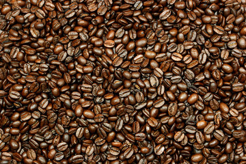 fresh coffee beans