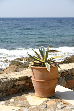 mohlos / kreta
