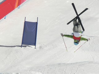 ski de bosses