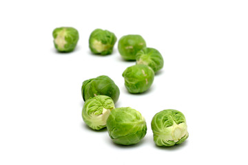 brussel sprouts in a row