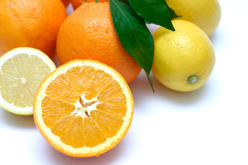 citrus details