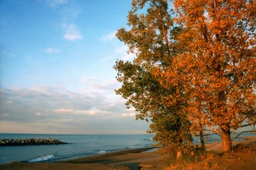 autumn at lake erie - horizontal - obrazy, fototapety, plakaty