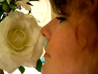 blumenduft