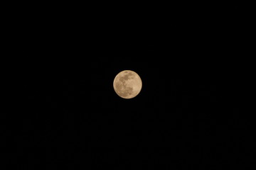 luna amarilla