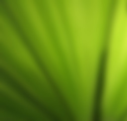 green abstract