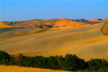 Fototapeta na wymiar hill krajobraz Toskanii