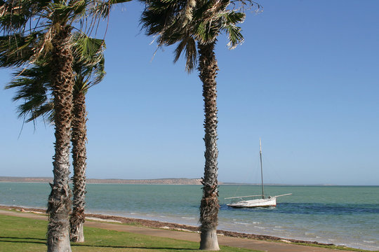 lonley boat and palm trees