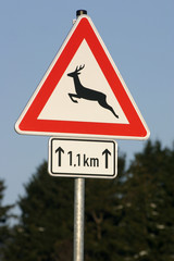 vorsicht wildwechsel