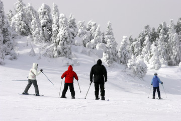 family skiing downhill