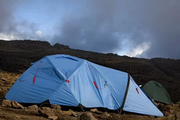 Abwaschbare Fototapete Löwenzahn und Wasser Kilimanjaro 017 Karango Camp Zelt