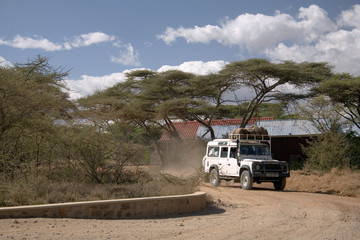 transportation 008 safari vehicle