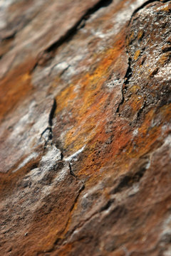 rouille