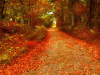 dreamy autumn