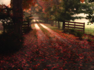 dreamy autumn path