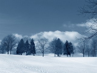 Obraz na płótnie Canvas śnieg sceny