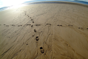 spuren im sand