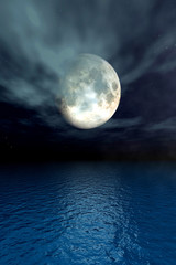 Naklejka na ściany i meble moonlight ocean