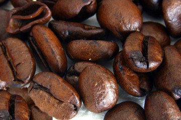coffee beans i