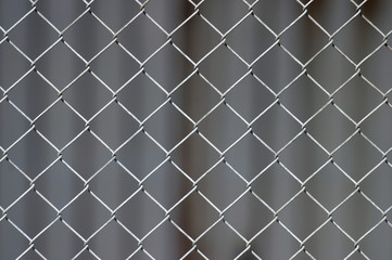 Fototapeta premium chicken-wire background (selective focus)