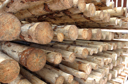 stacked logs (selective focus)